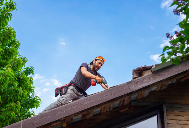 Best Roofing for New Construction  in Avalon, CA