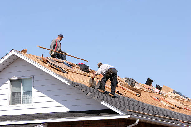 Best Steel Roofing  in Avalon, CA